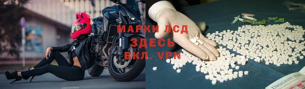 ALPHA PVP Верея