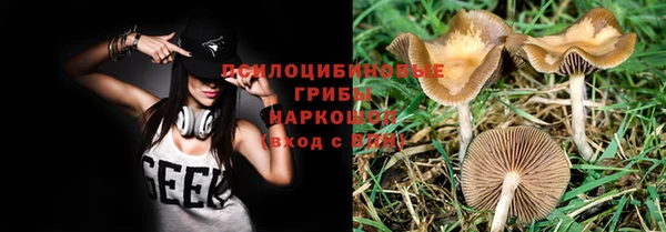 ALPHA PVP Верея