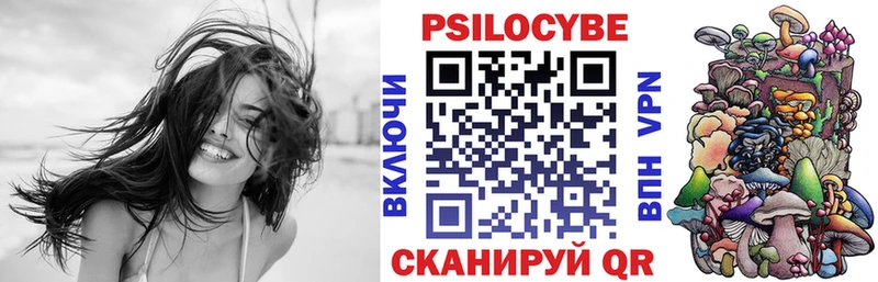 купить наркоту  Нижний Новгород  Псилоцибиновые грибы мухоморы 